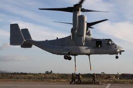 Marines from Landing Support Company, Combat Logistics Regiment 17, 1st Marine Logistics Group, grab prepare to attach their mock cargo to a V-22 Osprey, Feb. 17. This exercise is part of CLR-17s pre-deployment training.