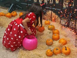 A child picks a pumpkin at the Family Pumpkin Bash in Tarawa Terrace, a military housing area aboard Marine Corps Base Camp Lejeune on Oct. 29. The event had many popular activities.