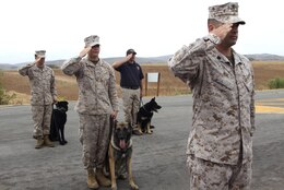 Military Working Dog handlers and their dogs salute the colors before the unveiling of the Camp Pendleton War Dogs sign here July 20. The sign was made by Sgt. Adam L. Cann and commemorates his ultimate sacrifice in Iraq where he was killed in action by a suicide-bomb attack.
