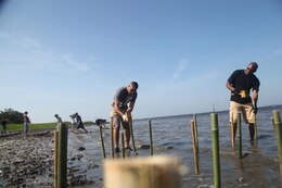 Marines from around Marine Corps Air Station Beaufort and Marine Corps recruit depot Parris Island, gather at the Laurel Bay shoreline to help with a project that will bring oysters back in to the natural environment, June 18.