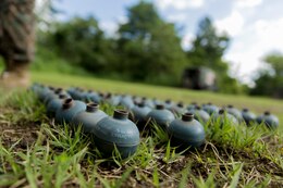 M69 practice grenades, better known as a "bluebodies," rest on the ground as part of a grenade training evolution for Combat Logistics Company 36 during Exercise Dragon 2014 Fire at Combined Arms Training Center Camp Fuji, Japan, July 12. Service members practiced with bluebodies to re-learn the procedures before throwing live grenades.