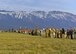 About 300 U.S. and Italian volunteers line up prior to a “Rabbit Roundup” event, Nov. 25, 2015, at Aviano Air Base, Italy. The volunteers were tasked with corralling rabbits on the flightline into nets for relocation purposes. (U.S. Air Force photo/Airman 1st Class Cary Smith)